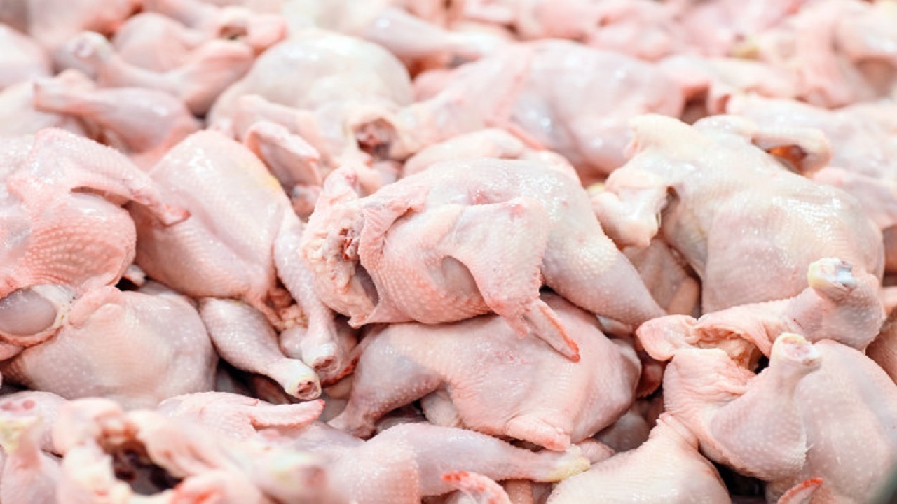 سودجویی مغازه داران علت اصلی توزیع مرغ با نرخ های بالاتر