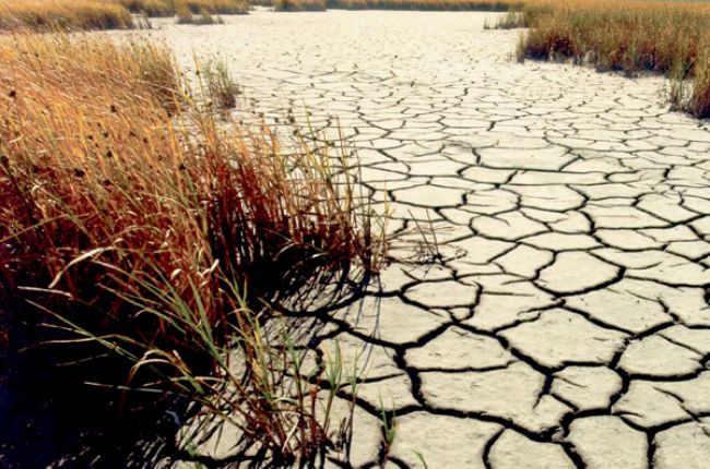 چگونگی مبارزه با خشکسالی جهانی