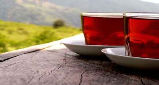 کشف ۱۲ تن چای احتکاری در کرج/ رصد دائم کارخانه های استان