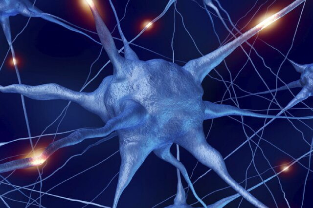 درمان موثر بیماری ام‌اس با کمک بینش جدیدی در مورد سلول‌های مغز