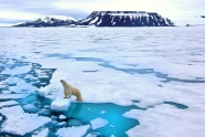 فاجعه در یخچال های گرینلند