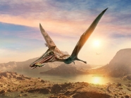 نحوه اولین پرواز دایناسورها