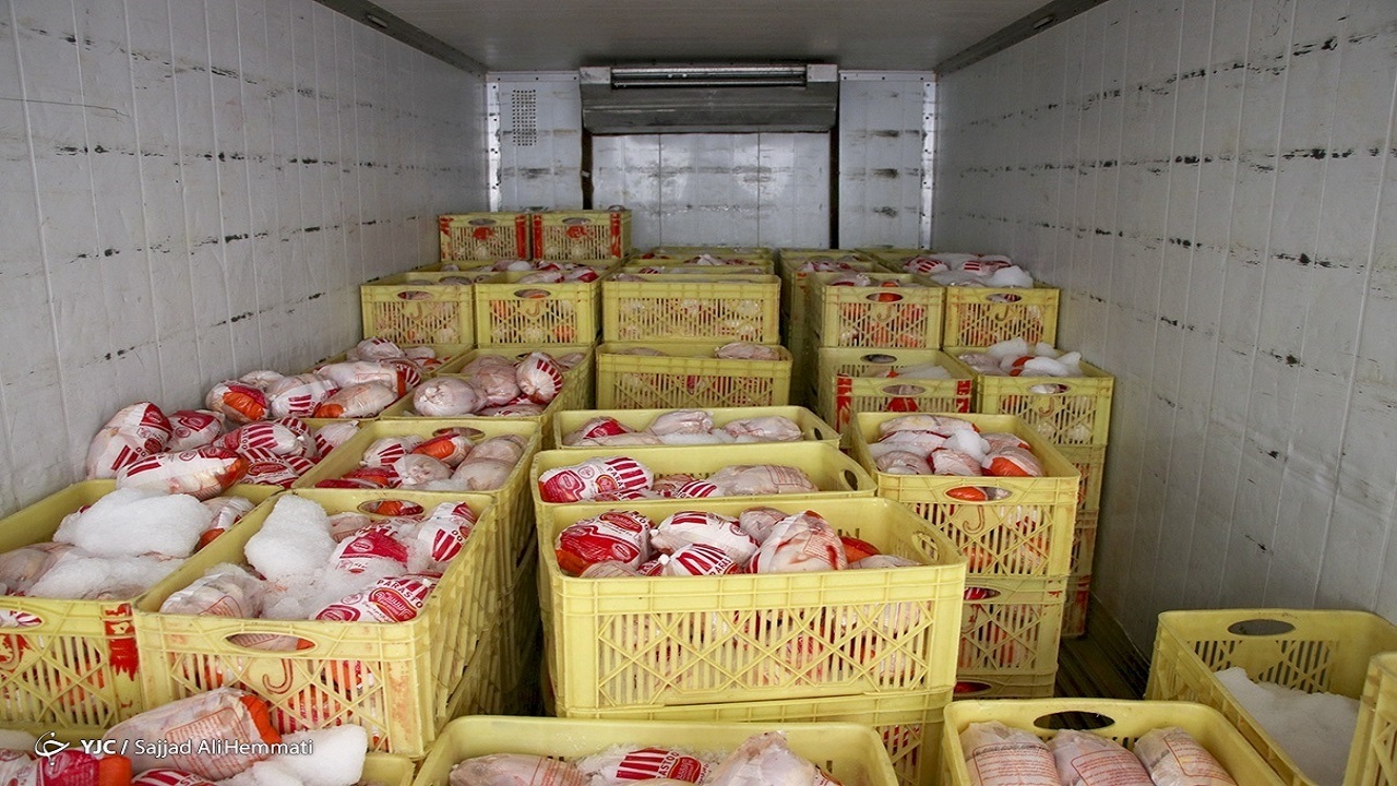روزانه چند هزار تن مرغ در کشور توزیع می‌شود؟
