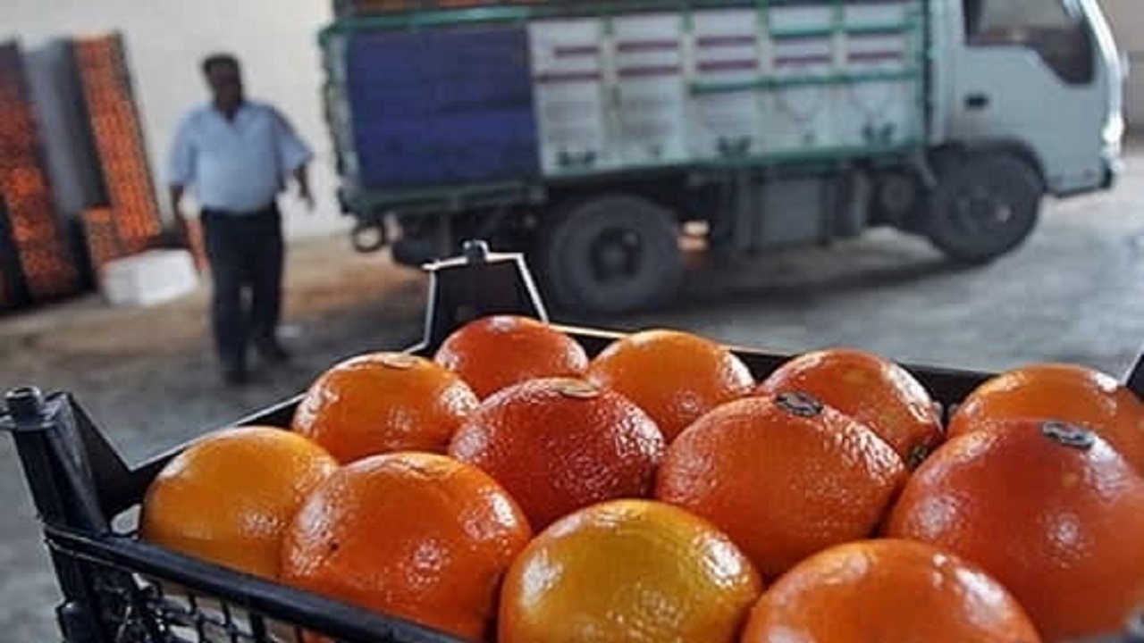 چند هزار تن پرتقال شب عید به سراسر کشور توزیع می شود؟