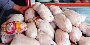 کشف ۵۰۰ کیلو مرغ احتکار شده در کرج