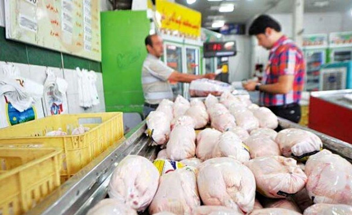 گرمای تابستان و افزایش تلفات، تولید مرغ را به حداقل رساند/ حذف قیمت دو نرخیِ البرز در گرو رشد واردات و برودت هوا