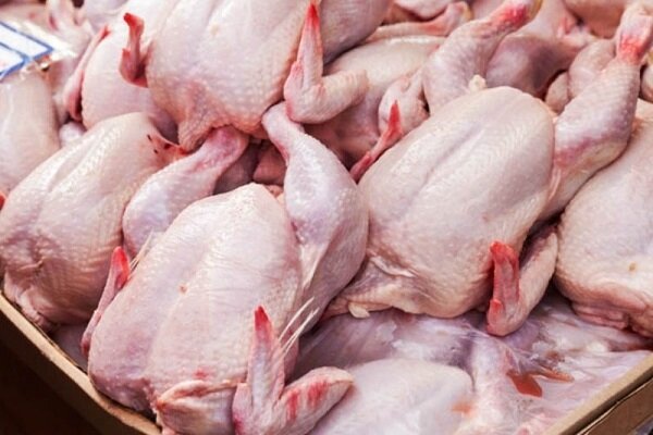 اصلاح قیمت مرغ در راستای افزایش نرخ مؤلفه‌ های تولید است