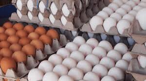 قیمت تصویب شده مرغ و تخم مرغ
