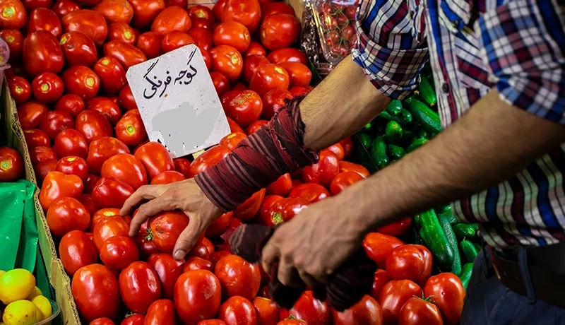 گوجه فرنگی هم در بازار کرج برای جیب مردم طاقچه بالا گذاشت/ قیمت گذاری سلیقه ای گوشت های طعم دار گرانفروشی را باب کرد
