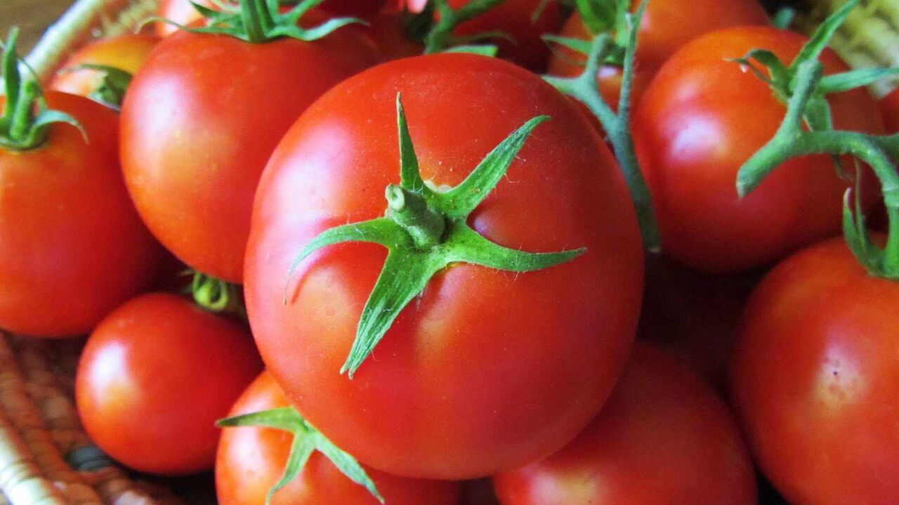قیمت گوجه فرنگی ۷ هزار تومان کاهش یافت/ جبران کبود بازار
