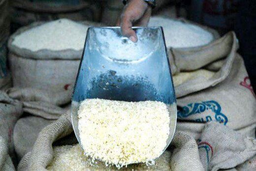 برنج صدهزارتومانی به کاهش تولید و احتکار دلالان بازمی گردد/ وزارت جهاد کشاورزی باید پاسخگوی قیمت ها باشد