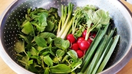 راز تازه نگه داشتن سبزی خوردن برای مدت طولانی