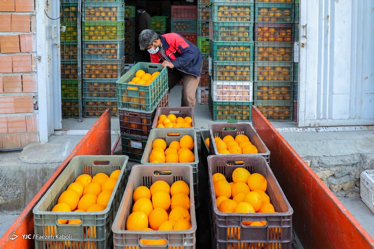 توزیع اینترنتی ۱۰ هزار تن میوه تا ماه رمضان