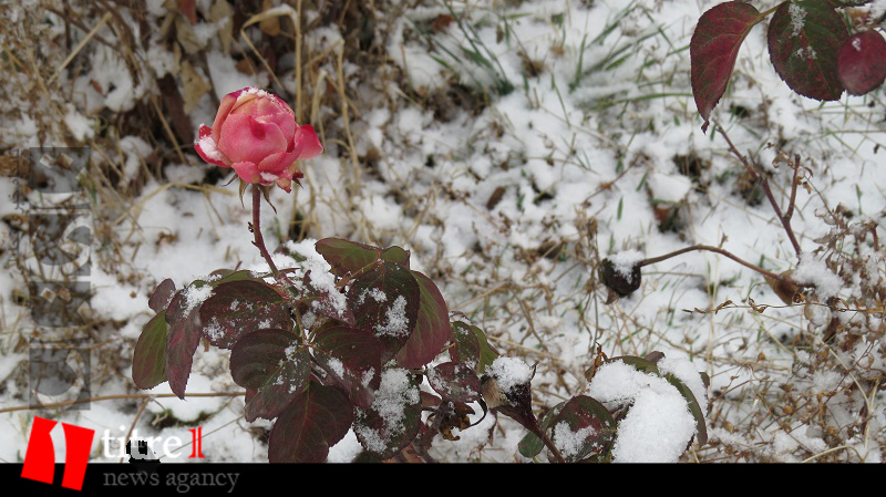 برف زیبای زمستانی در کرج + تصاویر