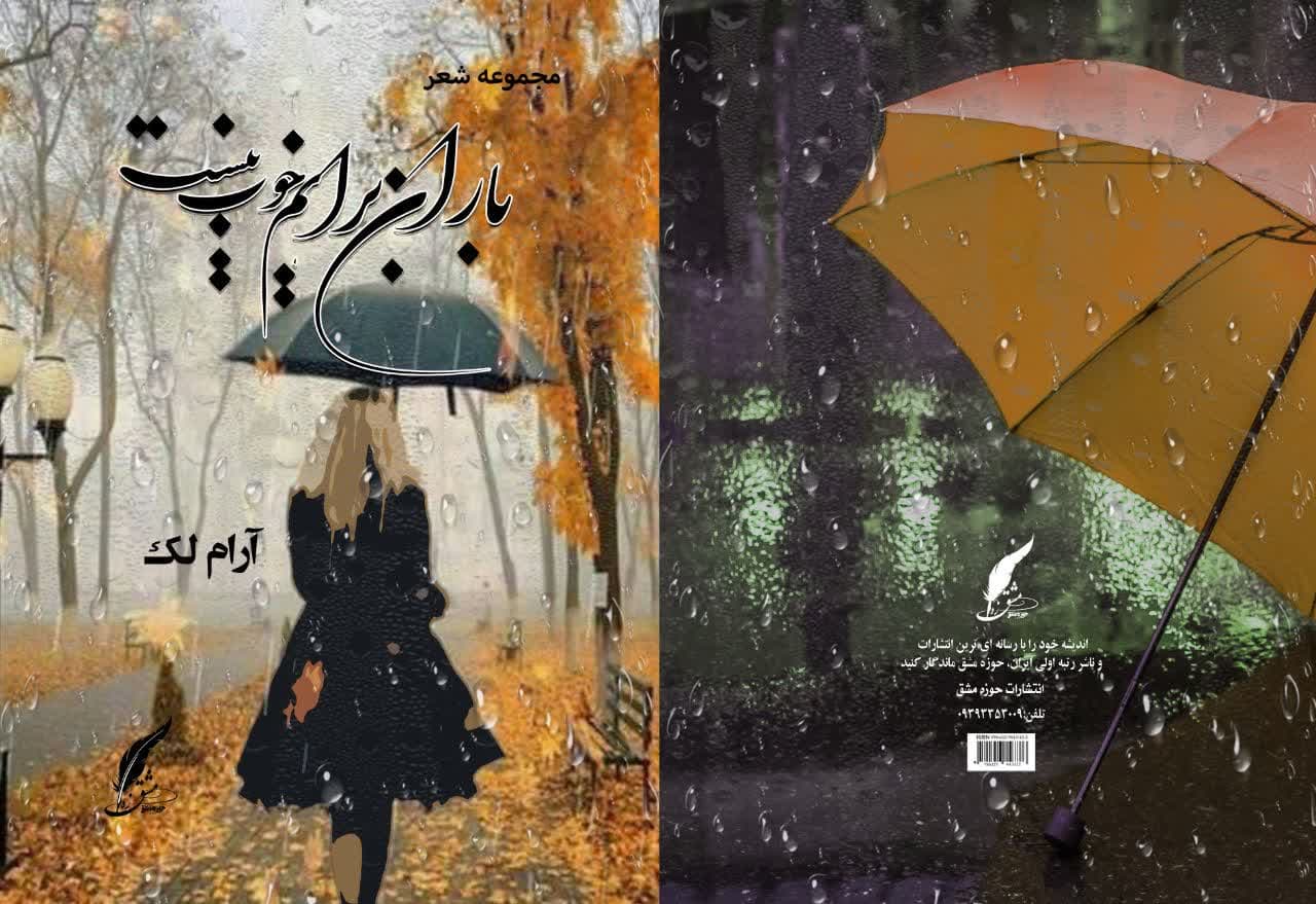 باران برایم خوب نیست، اثری برای علاقمندان به شعر
