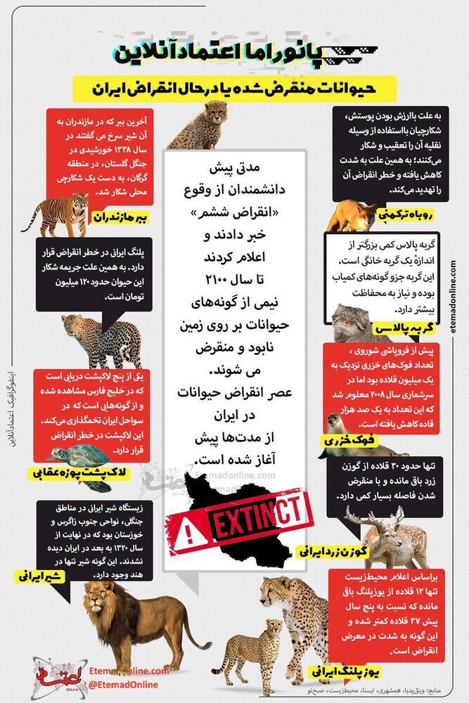اینفوگرافیک/کدام حیوانات در ایران منقرض شدند؟
