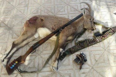 سرعت عمل پلیس برای دستگیری شکارچیان غیرمجاز در طالقان