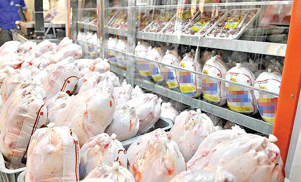 ۱۵ تن مرغ منجمد در ساوجبلاغ توزیع شد/ هفته آینده؛ پخش اقلام ضروری