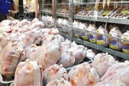 افزایش عرضه مرغ از شنبه در کشور/ کمبودی در تولید نداریم