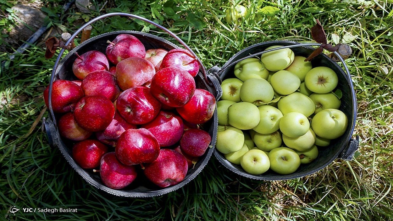 کاهش ۴۰ تا ۶۰ هزار تومانی قیمت میوه های نوبرانه در بازار
