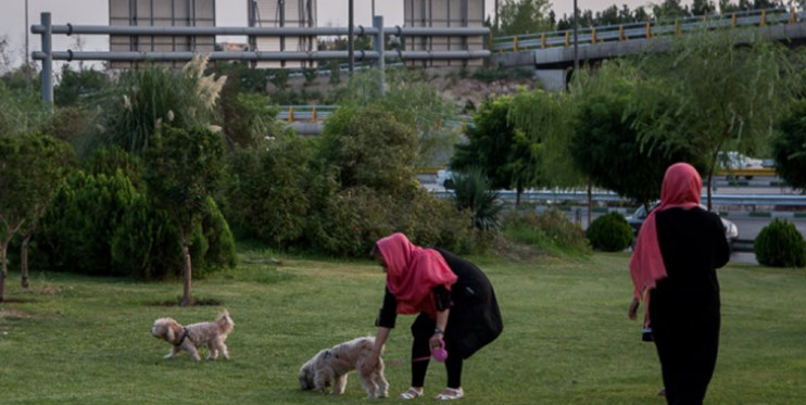 بانوانی که برای  فرار از فرزندآوری به نگهداری حیوان‌های خانگی روی آورده اند/سگ گردانی  یکی از مصادیق هویت زدایی فرهنگی در البرز است