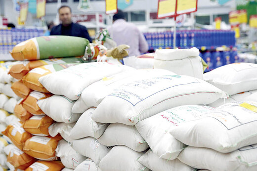 سوداگری دلالان قیمت برنج ایرانی را به یک میلیون تومان رساند/ کشت قراردادی؛ تنها راه دولت برای تنظیم بازار تولید داخلی