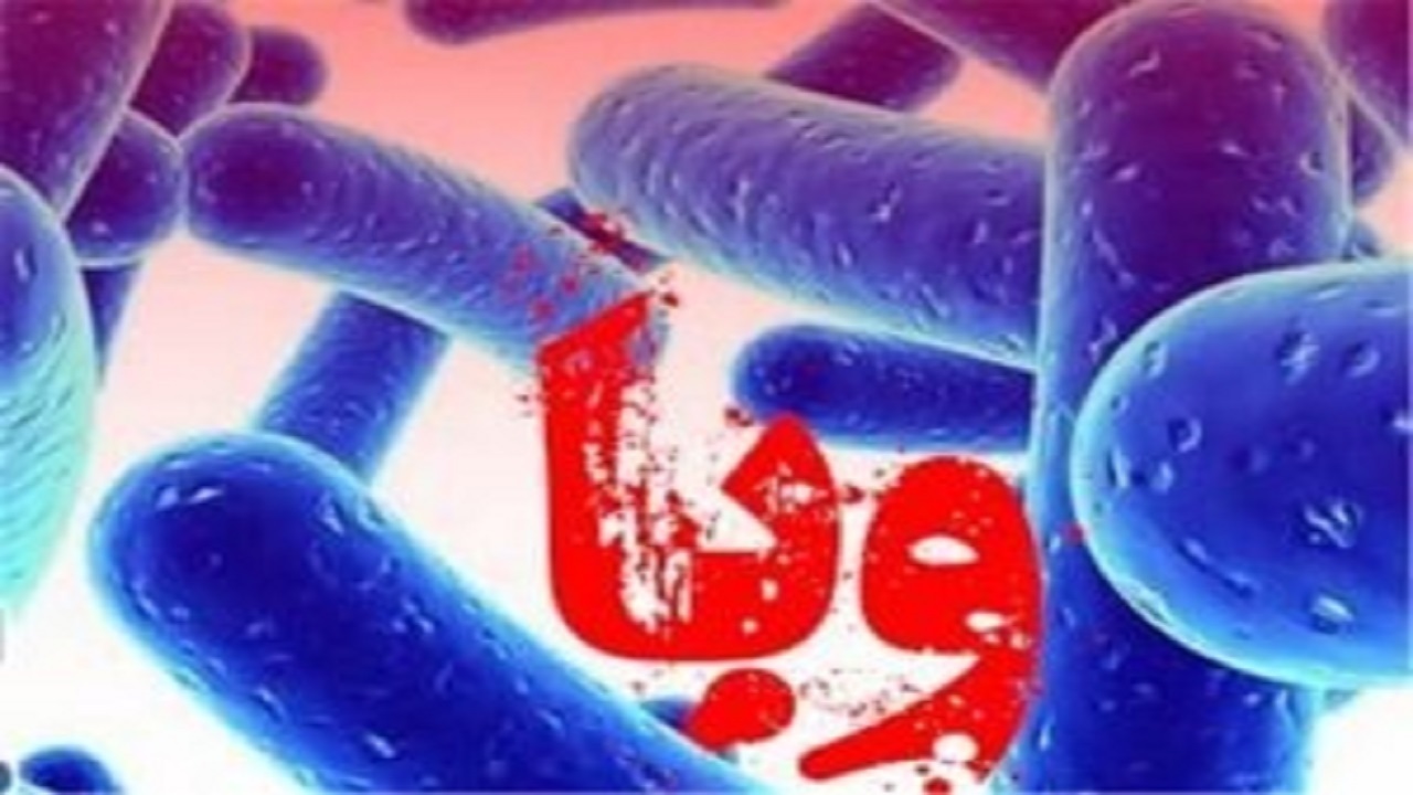 ابتلای ۳۷ مورد قطعی به وبا در کشور؛ مورد فوت ناشی از وبا گزارش نشده است