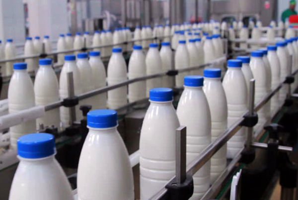 افزایش قیمت شیر شیره اقتصاد خانواده های البرز را کشید/ عدم کنترل قیمت ها؛ گلایه کردم از جراحی دولت