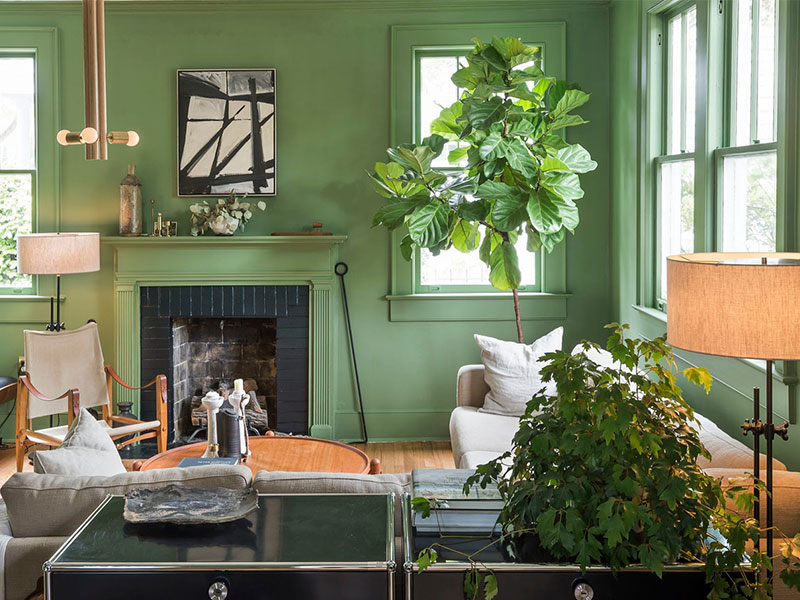 ترکیب درست رنگ ها در دکوراسیون، فضای خانه را ماندگار می کند/ روانشناسی رنگ سبز