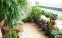 پرورش گل و گیاه در بالکن خانه به اشتغال زایی رسید/ تبدیل ایده اولیه به یک کسب و کار موفق