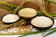 قیمت جدید برنج اعلام شد/ شالیکاران در انتظار اعلام نرخ خرید تضمینی