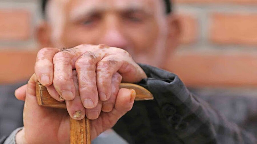 سند ملی سالمندان در البرز اجرا می شود/ ارائه خدمات به ۳ هزار و ۷۷۸ سالمند