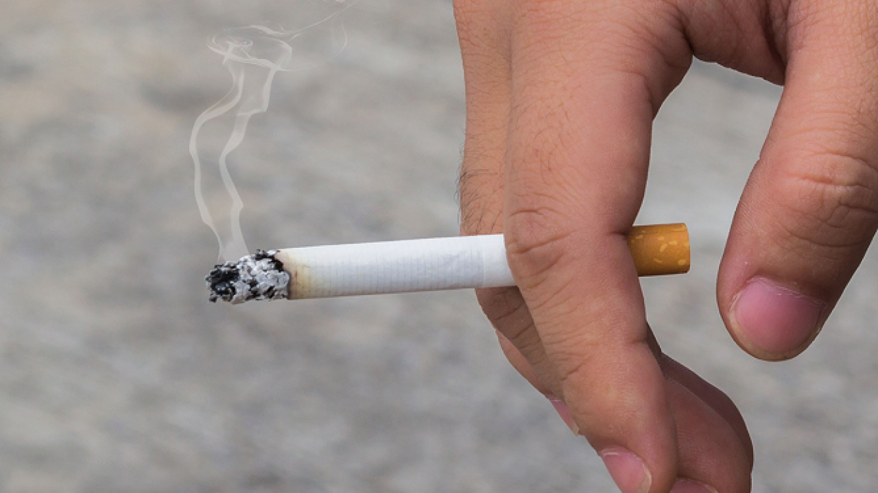 سیگار یکی از ۵ عامل مرگ در جهان است/ کلکسیون سرطان در انتظار افراد سیگاری
