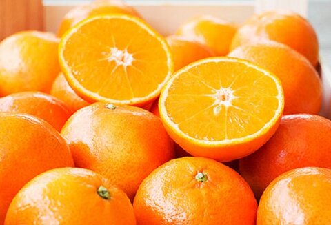 پرتقال‌ های نارنجی‌ رنگ در این موقع سال سالم نیستند/ رنگ آمیزی مصنوعی!