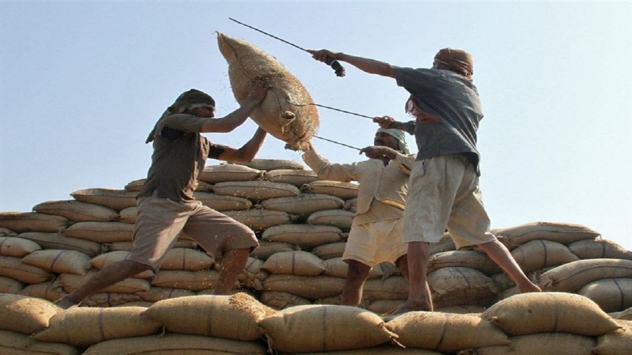 روزنامه اکونومیک اعلام کرد: واردات برنج و چای هندی ممنوع شد؟