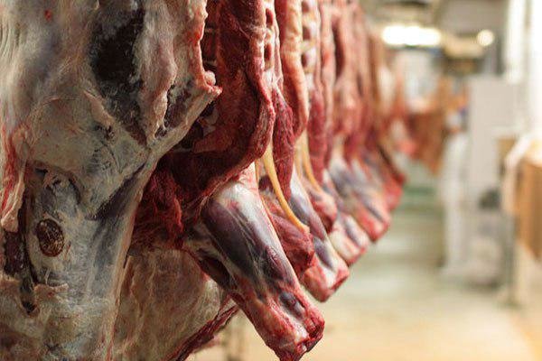۴۰ درصد گوشت‌های وارداتی توسط جهاد کشاورزی «چربی» است/ آقایان هزار شرط پیش پای دامداران می‌گذارند!