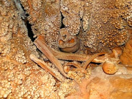 فسیل وحشتناک مرد ۱۸۰ هزار ساله در چاه + تصاویر