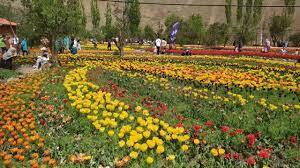 دومین جشنواره لاله‌های رنگارنگ در آسارای کرج آغاز شد