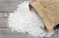 توقیف محموله قاچاق برنج در طالقان و دستگیری یک نفر