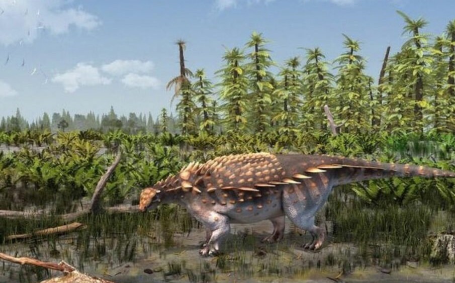 کشف دایناسور‌های ۱۴۵ میلیون ساله