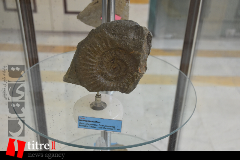 موزه تاریخ طبیعی و تنوع زیستی استان البرز در پارک چمران + تصاوبر