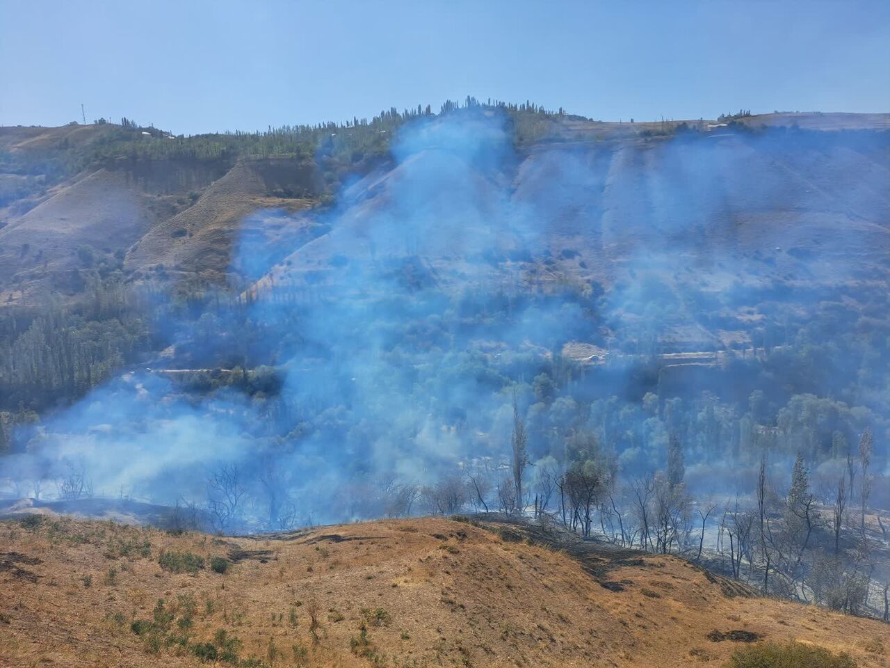 آتش‌سوزی یک هکتار از باغات طالقان