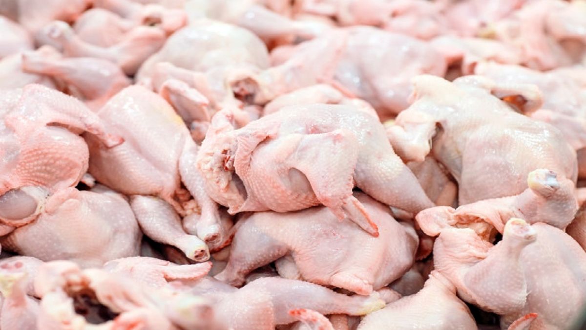 متأسفانه ۹۰ درصد مرغ مصرفی در البرز وارداتی است