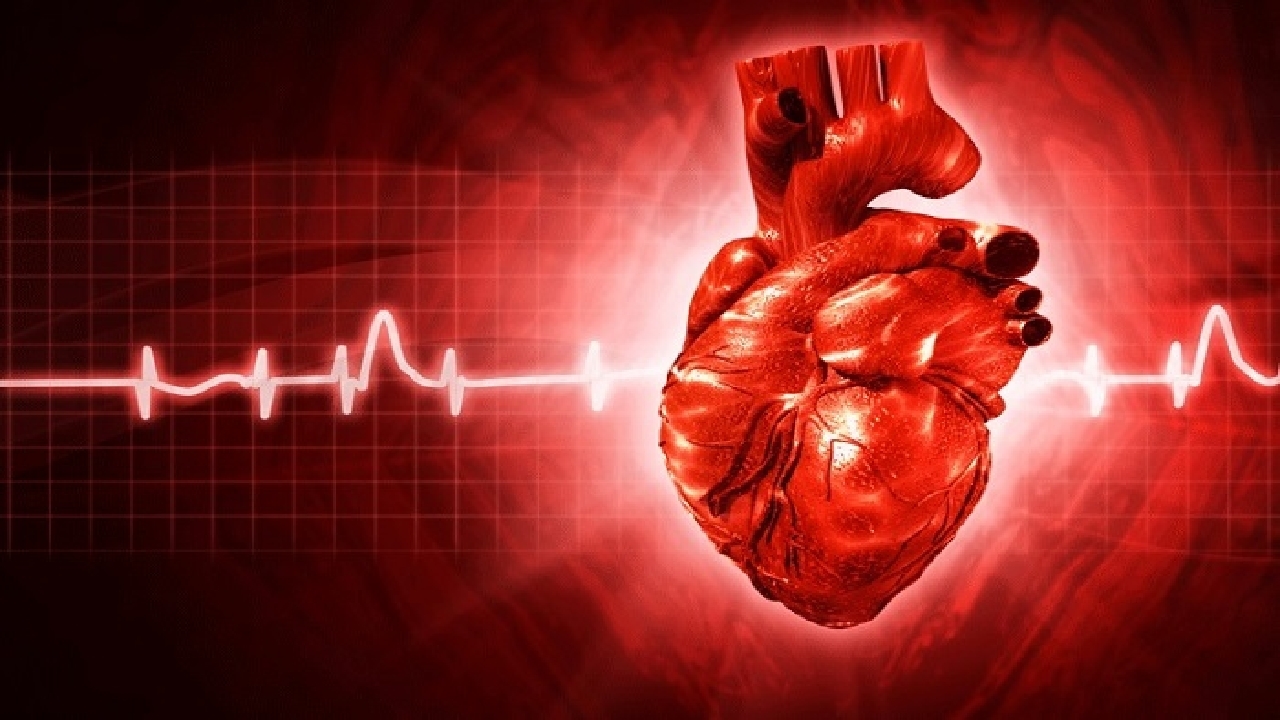 راهکار‌ طب ایرانی برای سلامت قلب