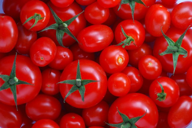 کاهش تب بازار گوجه فرنگی