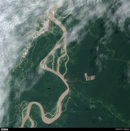 تصویر ماهواره لندست 8 از جنگل زدایی در جنگل آمازون- پرو