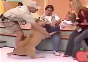 لحظه حمله شیر به کودک در برنامه زنده/ فیلم