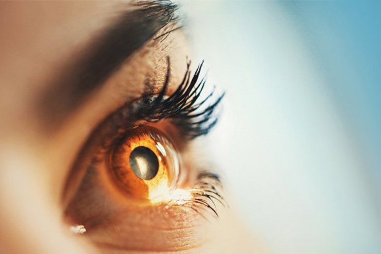 یک ورزش ساده و آسان برای بهبود بینایی