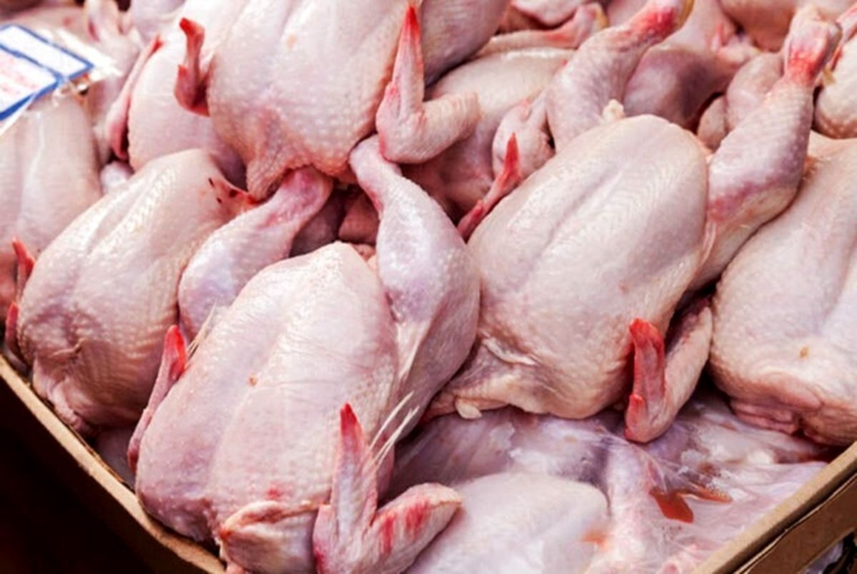 بازار گوشت مرغ تحت کنترل