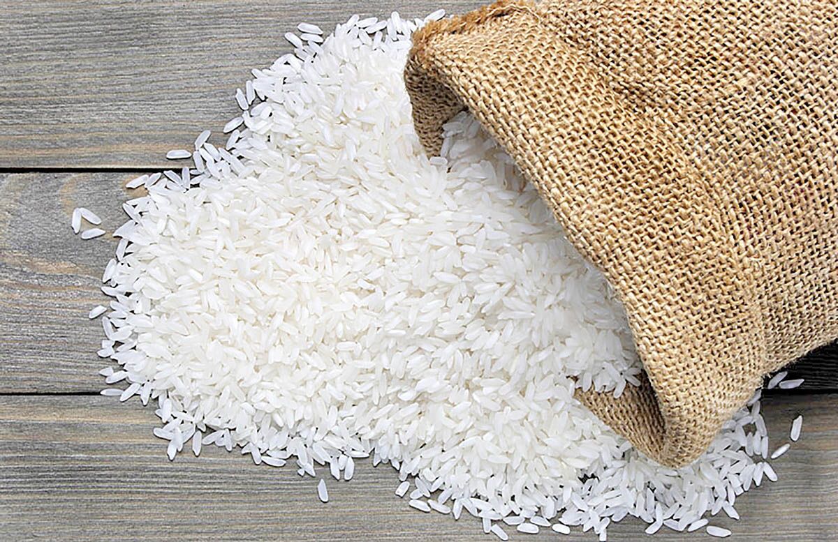 ۶۰۰ هزارتُن، نیاز سالانه واردات برنج